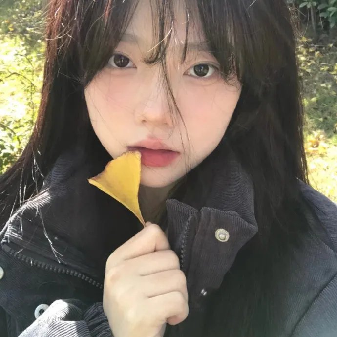 风云决